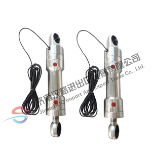 Custom 304 Stainless Steel Hydraulic Cylinder Stainless Hydraulic Lifting Platform