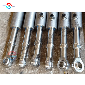 Custom 304 316 Stainless Steel Hydraulic Cylinder for Under Water Works
