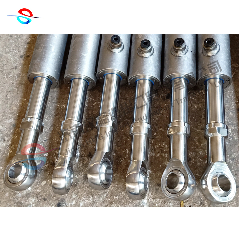 Custom 304 316 Stainless Steel Hydraulic Cylinder for Under Water Works