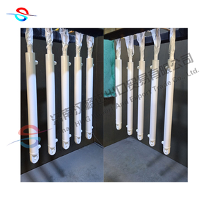 Precise Design Stainless Steel Double Acting Hydraulic Cylinder for Swimming Pool System