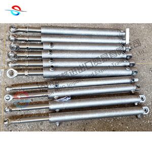 Custom 304 316 Stainless Steel Hydraulic Cylinder for Under Water Works